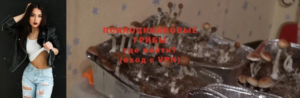 бошки Осташков
