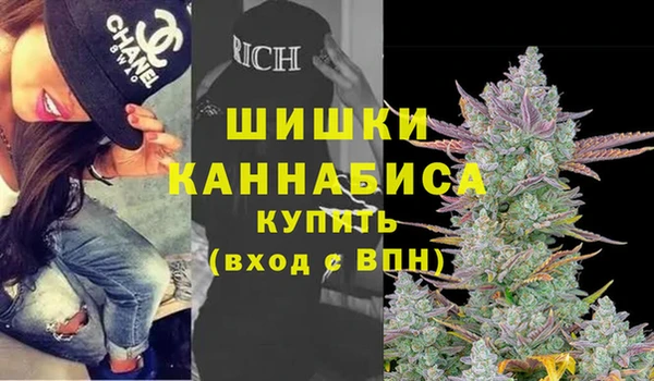 ПСИЛОЦИБИНОВЫЕ ГРИБЫ Аркадак