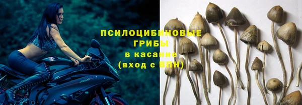 таблы Алексеевка